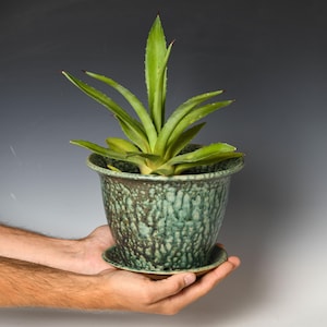 May include: A green agave plant with pointed leaves potted in a ceramic planter. The planter features a mottled, textured glaze in shades of teal, green, and dark brown, with a matching circular saucer base attached to the bottom of the pot.