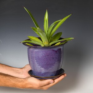 May include: A glossy, deep purple ceramic planter with a flared rim and a matching saucer base. The pot features a mottled, speckled glaze texture and contains a vibrant green agave plant with pointed, sword-shaped leaves and sharp tips.