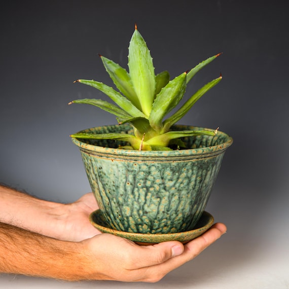 Ceramic Planter with Drainage Holes in Green & Black Glaze, Stoneware Plant Pot #706