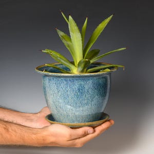 May include: A blue ceramic planter with a matching saucer holds a green plant with long, pointed leaves. The planter has a textured surface and a brown rim. The plant pot is held in two hands.