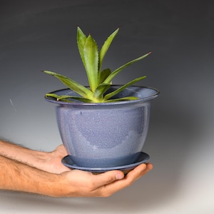 May include: A blue ceramic planter with a matching saucer holds a green plant with long, pointed leaves. The planter is round with a wide rim and is held by two hands. The background is a gradient of gray and white.