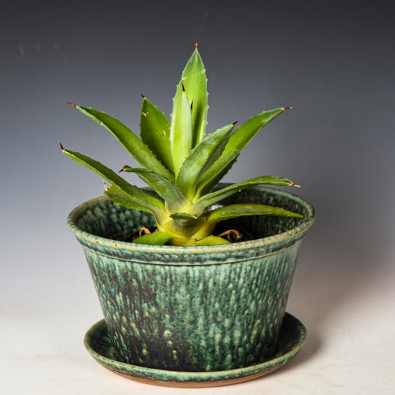 Wheel Thrown Planter with Drainage Holes in Green & Black Glaze, Stoneware Plant Pot #731