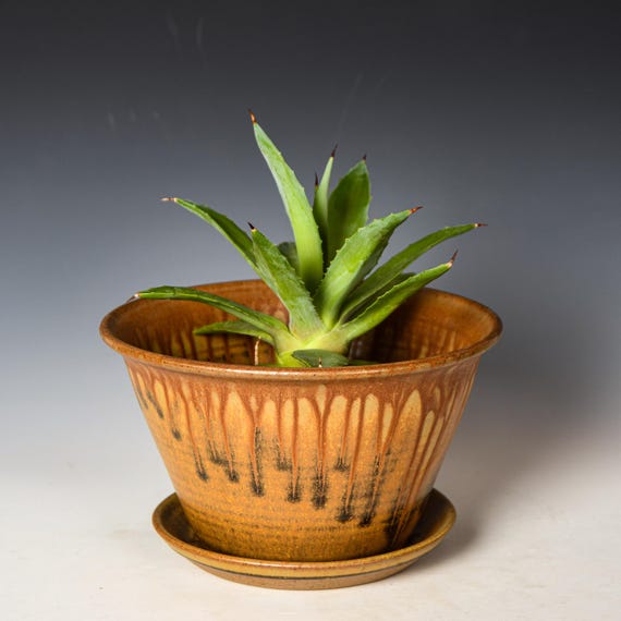 Ceramic Planter with Drainage Holes in Yellow Ash Glaze, Stoneware Plant Pot #729