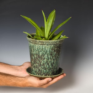 May include: A ceramic plant pot with a textured, mottled green and dark brown glaze, featuring a decorative embossed rim pattern. The pot sits on a matching circular saucer and contains a green succulent plant with pointed, upright leaves.