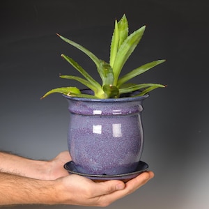 May include: A purple speckled ceramic planter with a matching saucer holds a green succulent plant. The planter has a rounded shape with a decorative rim. The plant's leaves are long and pointed. The planter is held in two hands.