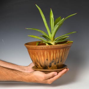 May include: A ceramic planter with a tapered shape and a matching saucer, featuring a warm brown and orange glaze with dark vertical drip patterns. A green agave plant with pointed leaves is potted inside the vessel, which has a smooth rim.