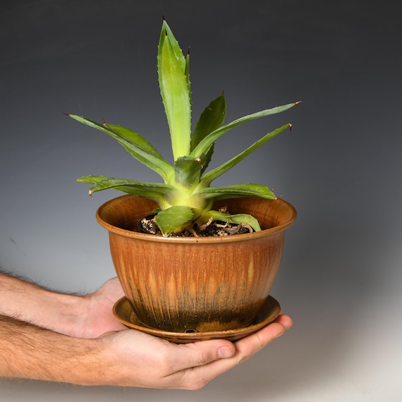 Ceramic Planter with Drainage Holes | Stoneware Plant Pot | Ash Glaze #7