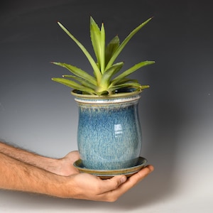 May include: A blue ceramic planter with a matching saucer holds a green succulent plant. The planter has a textured, glazed finish with shades of blue and a cream-colored rim. The plant has long, pointed green leaves.