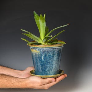 May include: A blue ceramic planter with a matching saucer, holding a green plant. The planter has a textured, glazed finish with streaks of blue and brown. The plant has long, pointed green leaves. The planter and saucer are held in a person's hands.