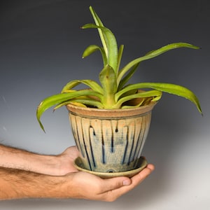 May include: A ceramic planter with a flared rim and a matching saucer, featuring a tan upper section and a blue-glazed lower section with vertical drip patterns. A green agave plant with long, pointed leaves grows from the pot.