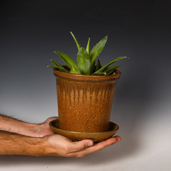 Wheel Thrown Planter with Drainage Holes in Yellow Ash Glaze, Stoneware Plant Pot #769