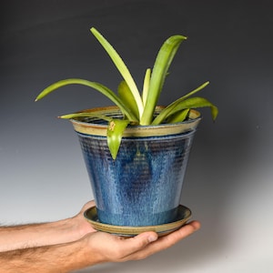 May include: A tapered ceramic planter with a glossy deep blue glaze and a subtle vertical texture. The pot features a wide rim with a muted tan edge and sits on a matching circular saucer. A green plant with long, pointed leaves grows inside.