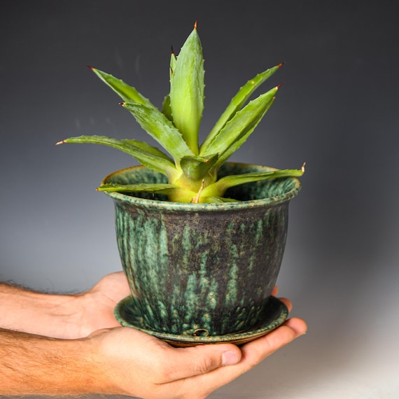 Wheel Thrown Planter with Drainage Holes in Green & Black Glaze, Stoneware Plant Pot #721