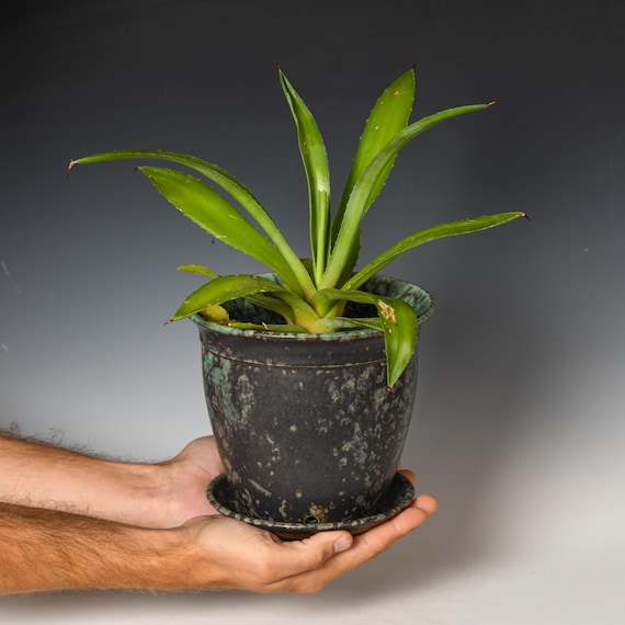 Wheel Thrown Planter with Drainage Holes | Stoneware Plant Pot | Green & Black Glaze #76
