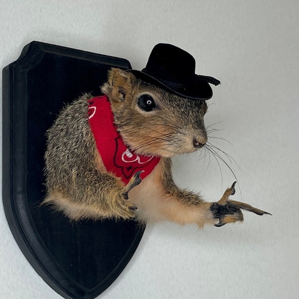 Cowboy Bandit Taxidermy Squirrel Western Country Finger Guns