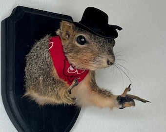 Cowboy Bandit Taxidermy Squirrel Western Country Finger Guns