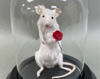 Taxidermy Mouse with Rose