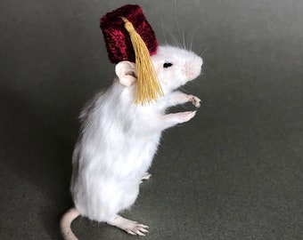 Taxidermy Mouse with Fez