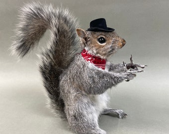 Cowboy Bandit Taxidermy Squirrel Western Country Finger Guns