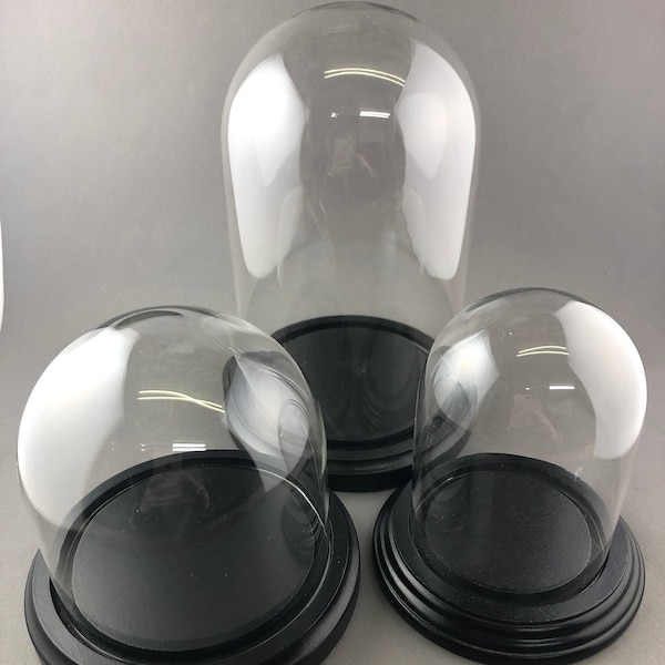 Bell Jar Glass Dome with Black Wood Base