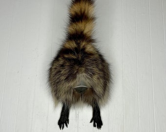 Taxidermy Raccoon Butt Bottle Opener Wall Mount