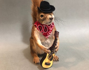 Taxidermy Squirrel Cowboy Country Music Singer