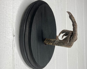 Taxidermy Middle Finger THE BIRD Pheasant Black Wood Wall Plaque