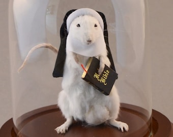 Taxidermy Nun Mouse