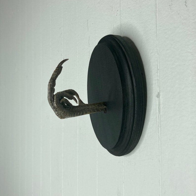 Taxidermy Middle Finger THE BIRD Pheasant Black Wood Wall Etsy