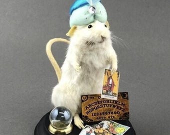 Fortune Teller Taxidermy Mouse