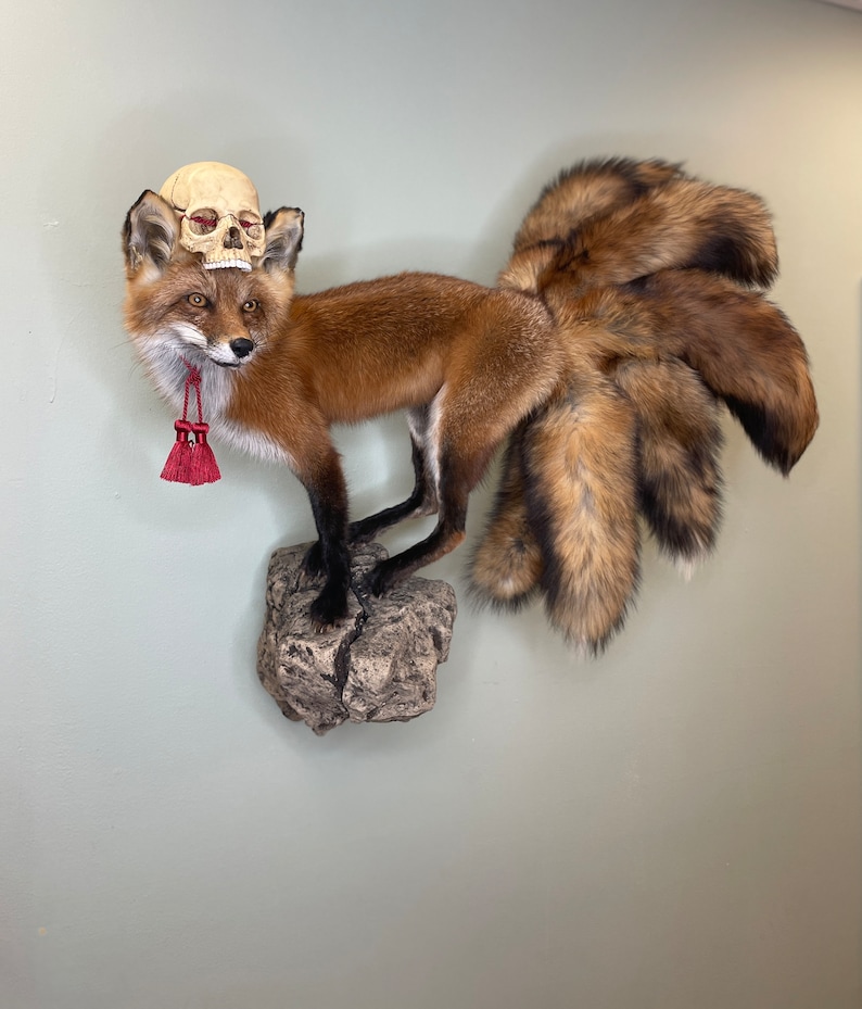 May include: A taxidermied fox with multiple tails, mounted on a rock. The fox has reddish-brown fur and a skull resting on its head. A red tassel hangs from its neck. The fox is posed as if walking.