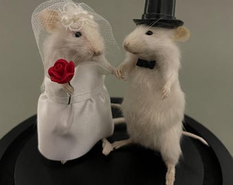 Taxidermy Wedding Mouse Couple Bride and Groom Mice Cake Topper Engagement Anniversary