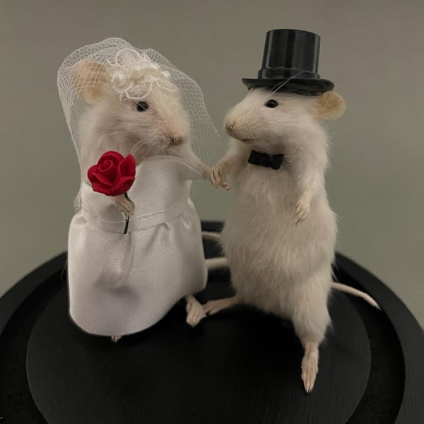 Taxidermy Wedding Mouse Couple Bride and Groom Mice Cake Topper Engagement Anniversary