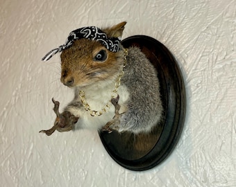 Tupac Inspired Taxidermy Squirrel Finger Guns Gold Chain Rapper Thug Life Bandana Funny