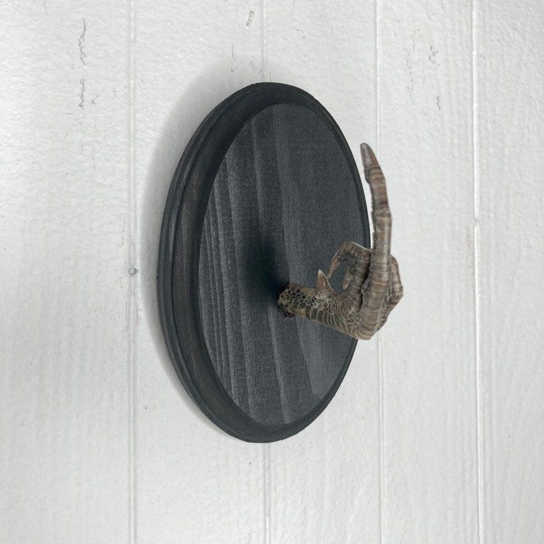 Taxidermy Middle Finger THE BIRD Pheasant Black Wood Wall Etsy