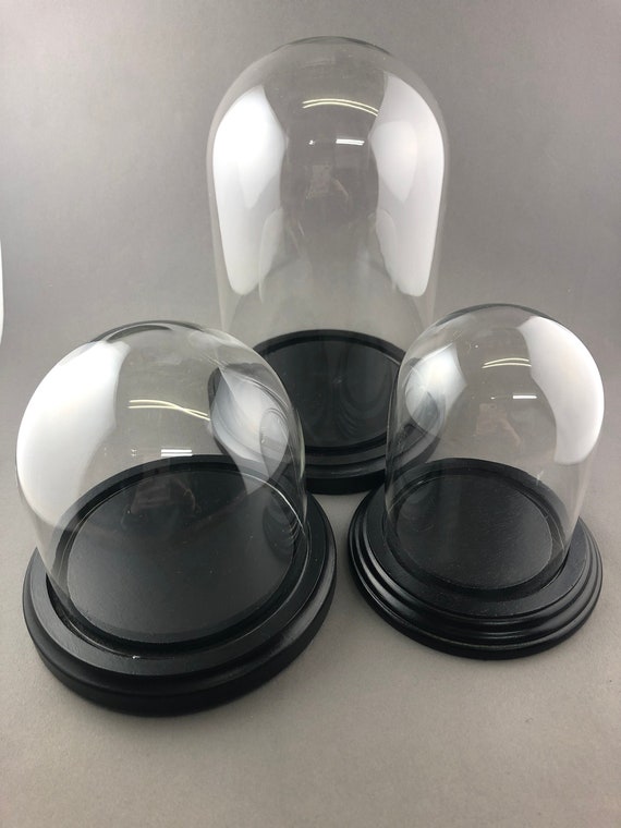 Bell Jar Glass Dome With Black Wood Base - Glass Bell Jar Dome With Wooden Base Bell Jar Glass Dome With Black Wood Base - Glass Bell Jar Dome With Wooden Base