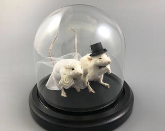 Taxidermy Wedding Mouse Couple Bride and Groom Mice Cake Topper Engagement Anniversary