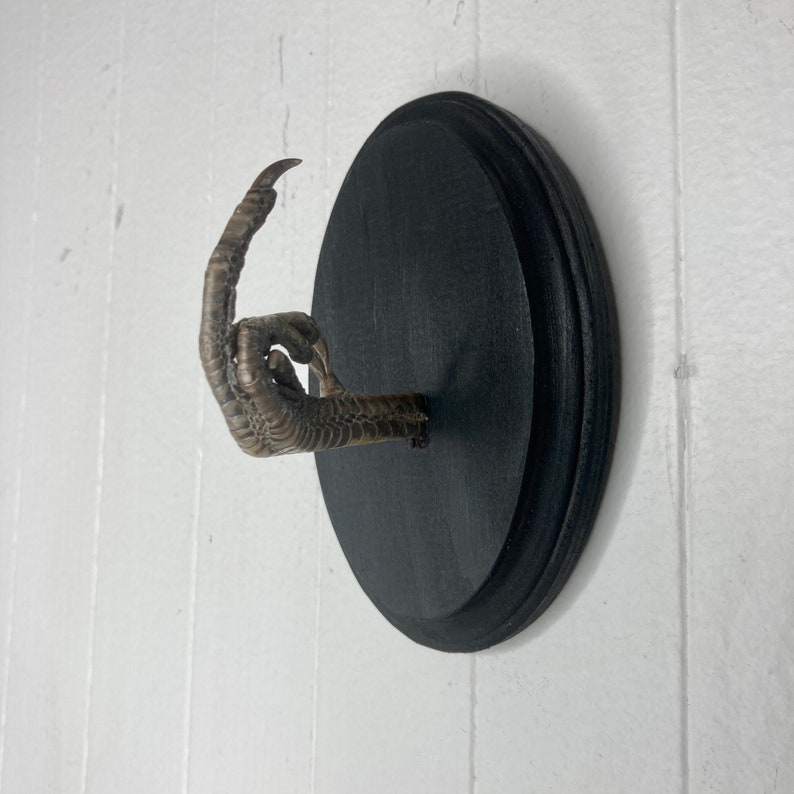 Taxidermy Middle Finger THE BIRD Pheasant Black Wood Wall Etsy