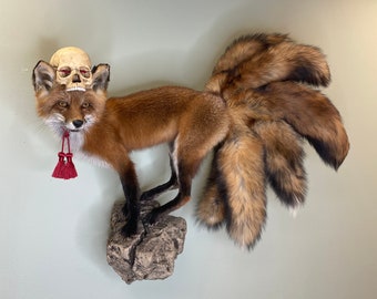 Kitsune Fox Taxidermy Japanese Yokai Folklore Nine Tails Human Skull