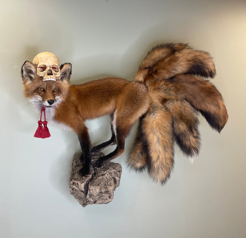 May include: A taxidermied fox with multiple tails, mounted on a rock. The fox has reddish-brown fur, black legs, and a skull resting on its head. A red tassel hangs from its neck. The fox is displayed against a light green wall.