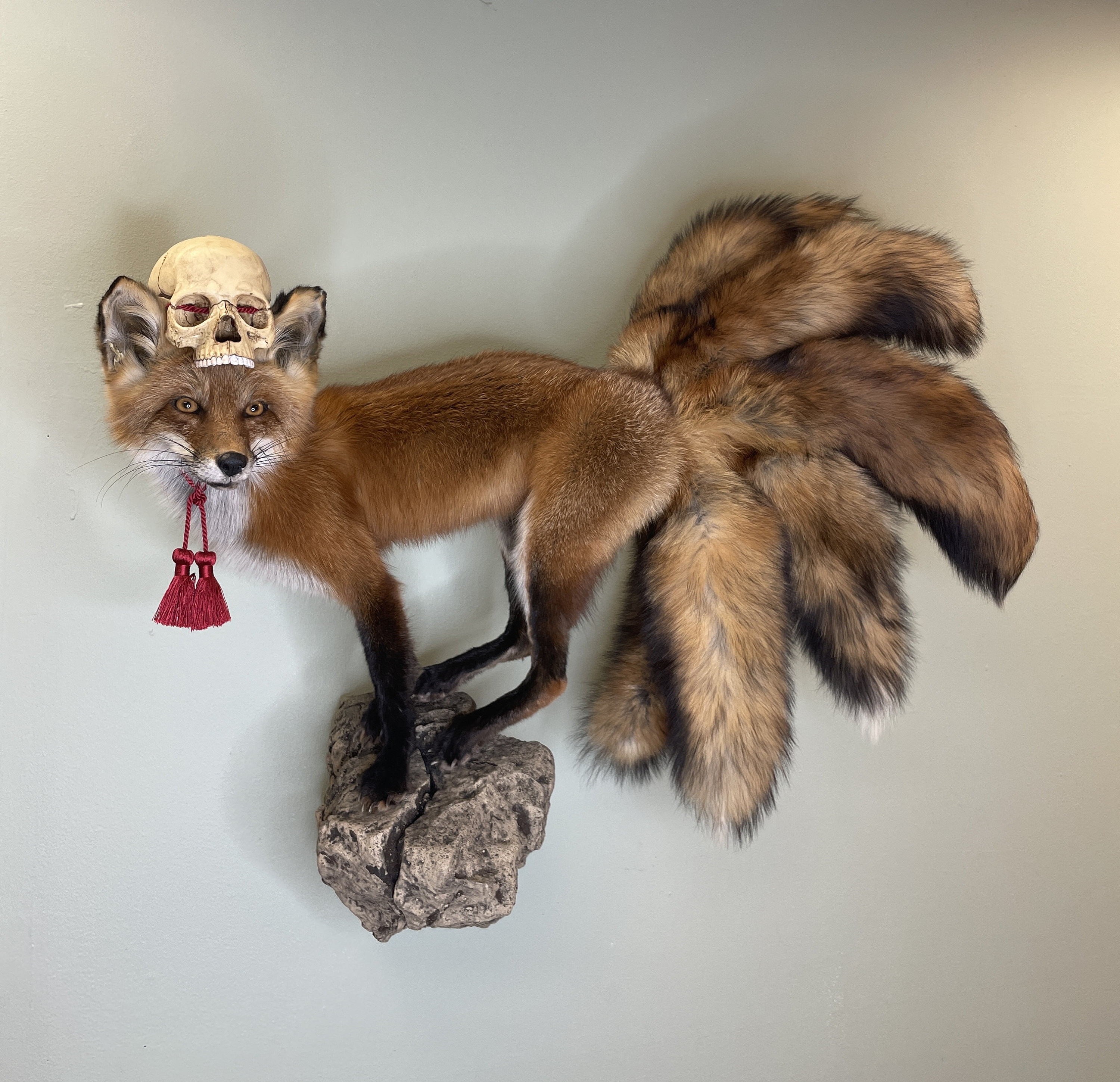 Kitsune Fox Taxidermy Japanese Yokai Folklore Nine Tails Human