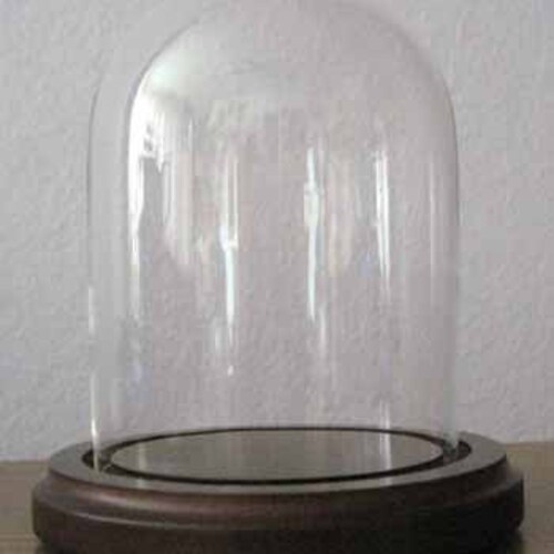Bell Jar Glass Dome With Brown Wood Base Etsy