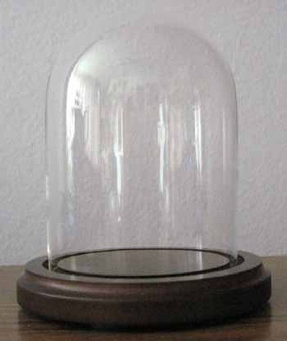 Bell Jar 3x4 Small Glass Dome With Black Or Brown Wood Base - Glass Bell Jar Dome With Wooden Base Bell Jar 3x4 Small Glass Dome With Black Or Brown Wood Base - Glass Bell Jar Dome With Wooden Base