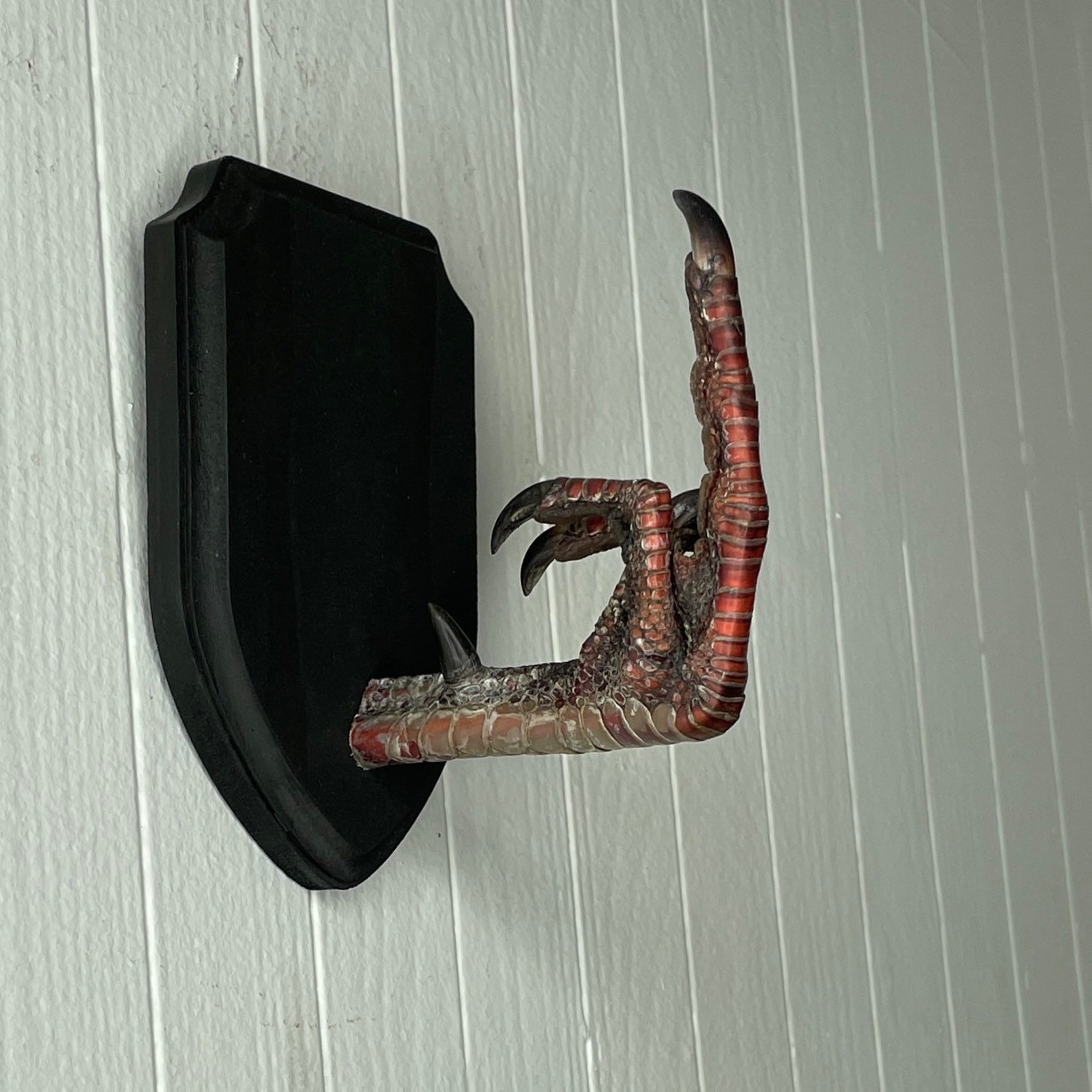 XL Taxidermy Middle Finger THE BIRD Turkey Black Wood Wall Etsy