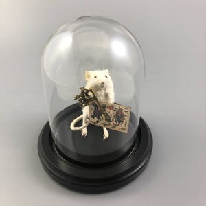 Taxidermy Tattoo Artist Mouse Tattooer Custom Made to Order image 3