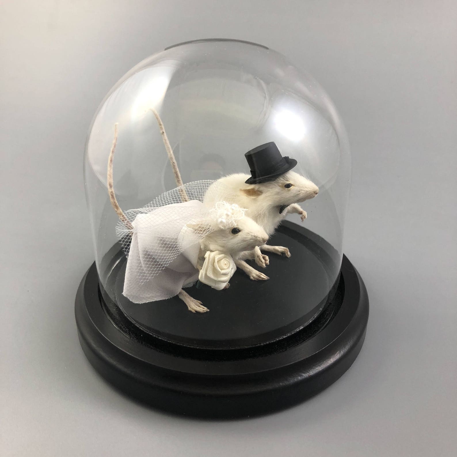 Taxidermy Wedding Mouse Couple Bride and Groom Mice Cake Topper