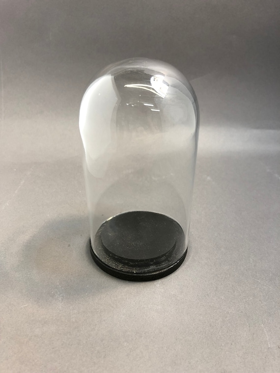 Vintage 5x2 5 Glass Dome Bell Jar Black Wood Base - Glass Bell Jar Dome With Wooden Base Vintage 5x2 5 Glass Dome Bell Jar Black Wood Base - Glass Bell Jar Dome With Wooden Base