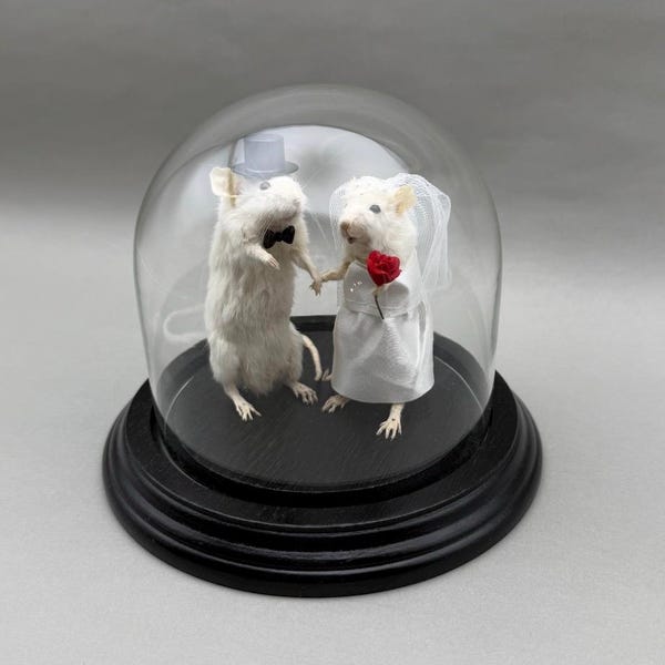 Taxidermy Wedding Mouse Couple Bride and Groom Mice Cake Topper Engagement Anniversary