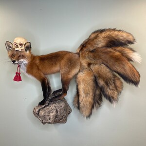 May include: A taxidermied fox with multiple tails, mounted on a rock. The fox has reddish-brown fur, black legs, and a skull atop its head. A red tassel hangs from its mouth. The tails are large and fluffy, with a mix of brown and white fur.