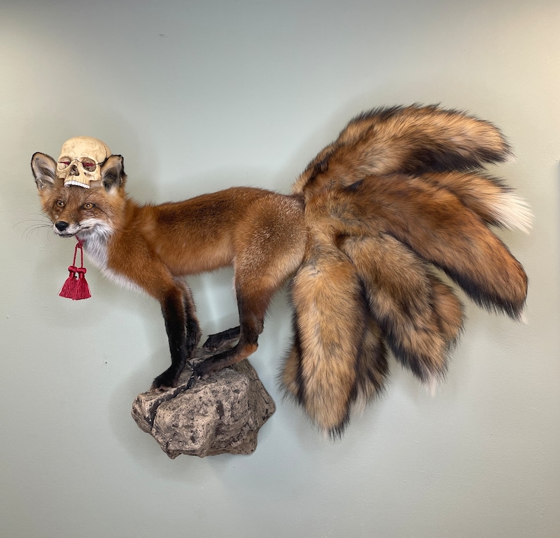 May include: A taxidermied fox with multiple tails, mounted on a rock. The fox has reddish-brown fur, black legs, and a skull atop its head. A red tassel hangs from its mouth. The tails are large and fluffy, with a mix of brown and white fur.